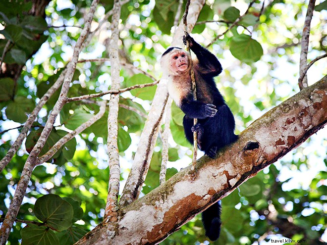 10 aventuras que você só pode ter na Costa Rica 